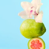 Sol de Janeiro Splash of Sol to Go poklon set za žene | shoptok.hr