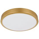 Globo Stropna Led-svetilka 12381-15 | Shoptok.si