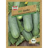 SPERLI Bio seme kumara Sperli (Marketmore) Cene