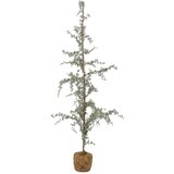 Bloomingville Umetno božično drevo višine 150 cm Vita - | Shoptok.si