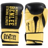 Benlee Lonsdale Leather boxing gloves | Eponuda.ba