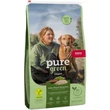 pure green Adult vegan oves, proso in faba fižol - 10 kg