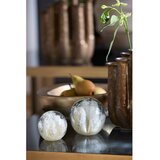 Light & Living Steklen obtežilnik za papir (višina 8 cm) Coral – | Shoptok.si