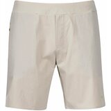 Bergans Men's Shorts Floyen V2 White/Green cene