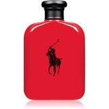 Polo Ralph Lauren Polo Red toaletna voda 125 ml za moške | Shoptok.si