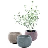 Curver Plastične posude za cvijeće u setu 3 kom ø 15 cm Cozy – Keter | shoptok.hr