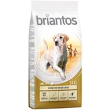 briantos Posebna cijena! 14 kg - Adult Maxi