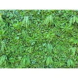 dekorativni panel fern gardenia 0,5x0,5 4 kom