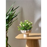 Sinsay Ukrasna umjetna biljka | shoptok.hr
