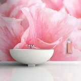  Tapeta - Pink azalea flowers 350x270 Cijene