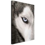 Artgeist Slika Na Platnu Dog's Look | Shoptok.si