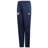 Adidas Hlače FC Olympiakos Cene