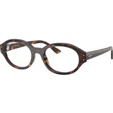 Ray-ban Shilo RX7257 8320 M (52) Havana/Kristalna | Shoptok.si
