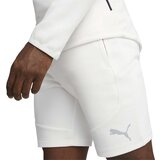 Puma muški sorts evostripe