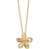 Nakit 2JEWELS VERIŽICA 251998 Cene