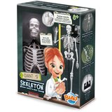 BUKI Skelet 104308 Cene