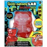 Goo-natomy Lab Jelly Bear