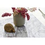 MID.YOU klubska miza monobloc | Shoptok.si