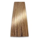 Prosalon Farba za kosu COLORART - Svetlo plava 9/0 100g Cijene
