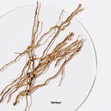 Clinique Aromatics Elixir™ parfumska voda za ženske 10 ml | Shoptok.si