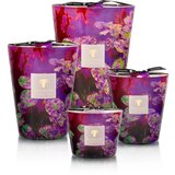 Baobab Collection Arty Flowers Water Lily dišeča sveča 500 g | Shoptok.si