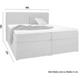 Premium Living Postelja Boxspring Simon, Rožnata, 180x200 | Shoptok.si