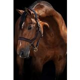 Horseware Ireland Oglavka Rambo Micklem "rjava" - WB | Shoptok.si