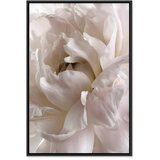  Slika - Fluffy Distraction (1 Part) Vertical 40x60 | shoptok.hr