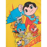 Sinsay Komplet od 2 majice kratkih rukava DC | shoptok.hr