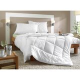 Billerbeck VZGLAVNIK Classic Clean 40/60 cm | Shoptok.si