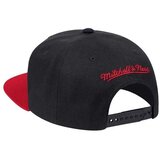 Mitchell And Ness Toronto Raptors sarena Cijene