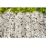  CT-5315 multicolor bathmat set (2 pieces) | Eponuda.com