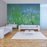  Tapeta - A meadow at dawn 400x309 Cijene