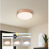 Brilagi LED prigušiva stropna svetiljka POOL LED/36W/230V prečnik 30 cm bronzana +daljinski upravljač Cene