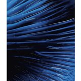 Biotherm Homme Force Supreme Gel gel za obraz 50 ml za moške | Shoptok.si
