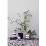 Rosendahl LED vanjska svjetiljka sa solarnim panel/s USB ø 15 cm Soft Spot – | shoptok.hr