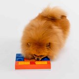 Pawzler Igračka zagonetka za pse Puppy Set – | shoptok.hr