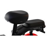 Capriolo Bicikl E-bike RX20-48 crno-crveni (292025-P) | Eponuda.com