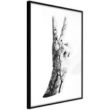  Poster - Peace 40x60 Cijene