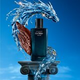 Davidoff Cool Water Parfum parfem za muškarce 50 ml | shoptok.hr
