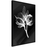  Poster - White Plant 40x60 Cijene