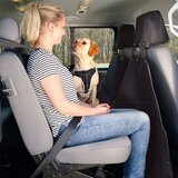 Plaček Pet Products zaštita Sedišta Prekrivač 145x160cm
