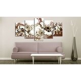  Slika - Chocolate Orchid 200x100 | shoptok.hr