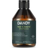  Šampon za bradu i kosu Dandy – 300 ml | Eponuda.ba