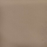  Trpezarijske stolice 2 pcs Boja cappuccina 58 x 65 x 98 cm | shoptok.hr