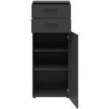 CARRYHOME KOMODA, barve grafita | Shoptok.si