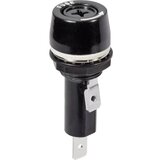 TRU COMPONENTS Nosač osigurača, pogodan za fine osigurače 6.3 x 32 mm 15 A 250 V/AC TC-R3-53 1 kom. Cijene