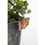 Esschert Design Vrtne figurice v kompletu 2 ks iz poliresina Butterfly – | Shoptok.si