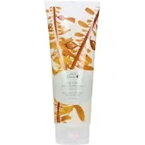 Šampon za volumen s kelp algama i mentom - 236 ml