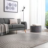 Asiatic Carpets Svijetlo sivi vuneni tepih 160x230 cm Hague – | shoptok.hr